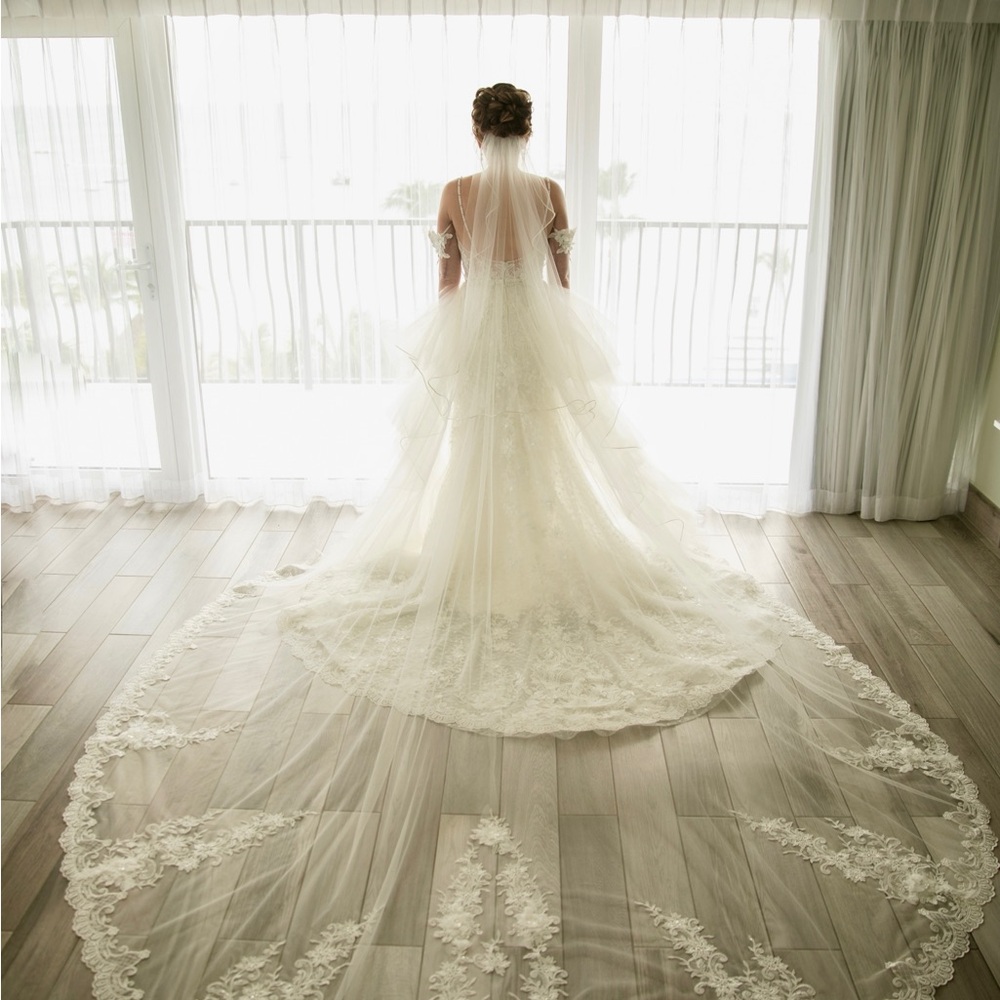 Eve of Milady 4389 Wedding Gown with Overskirt